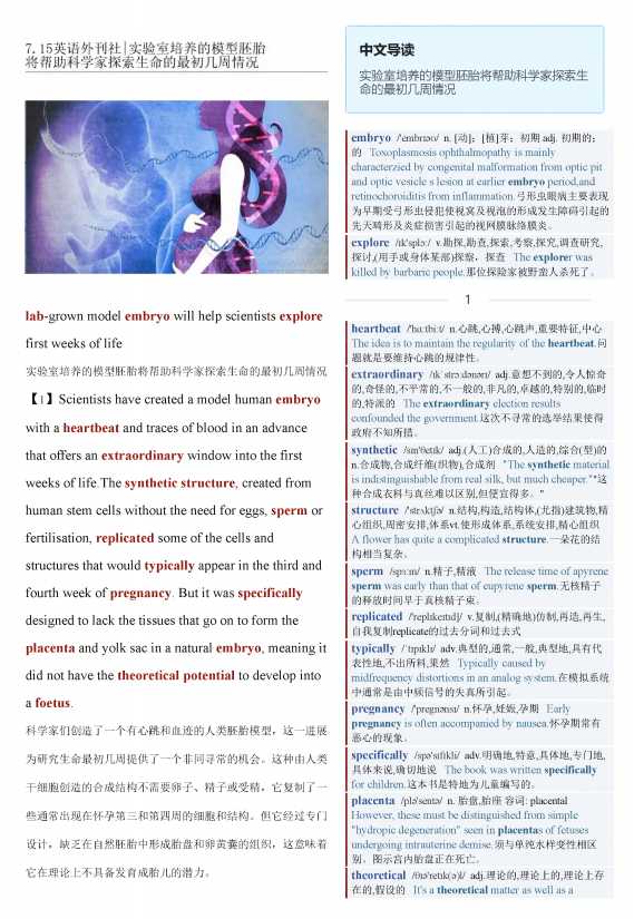 考研英语杂志卫报双语精读TE-2023-07-15期英文外刊|实验室培养的模型胚胎 将帮助科学家探索生命的最初几周情况（PDF版+Word版）