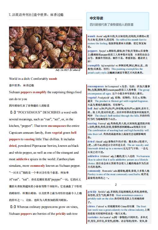 考研英语杂志经济学人双语精读TE-2023-07-25期英文外刊|盘中世界：麻香过瘾（PDF版+Word版+音频）