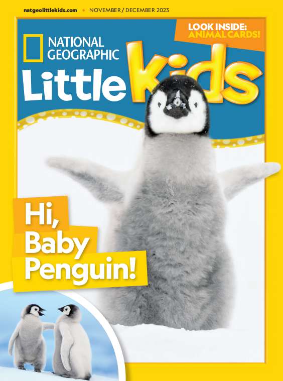 儿童英语国家地理少儿杂志National Geographic Little Kids  2023-11-12（PDF版）插图2