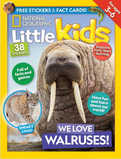 儿童英语国家地理少儿杂志National Geographic Little Kids UK 2023-11（PDF版）