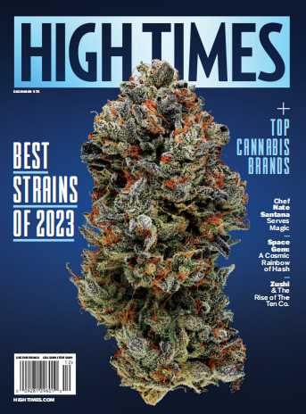 小众英语杂志High Times-2023-12（PDF版）