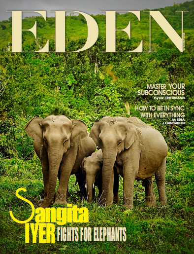 英语外刊社小众英语杂志The Eden Magazine-2023-11（PDF版）