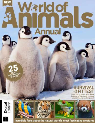 小众英语杂志World of Animals - Annual Volume 6, 2023（PDF版）