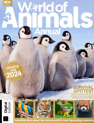 儿童英语杂志World Of Animals Annual Vol10 2024（PDF版）