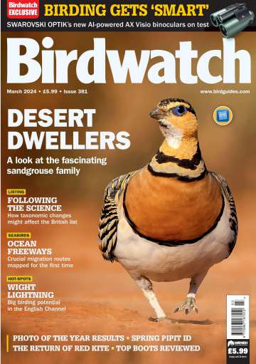 小众杂志Birdwatch UK-2024-03（PDF版）