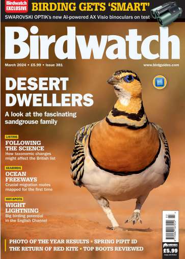 小众杂志Birdwatch UK-2024-3（PDF版）